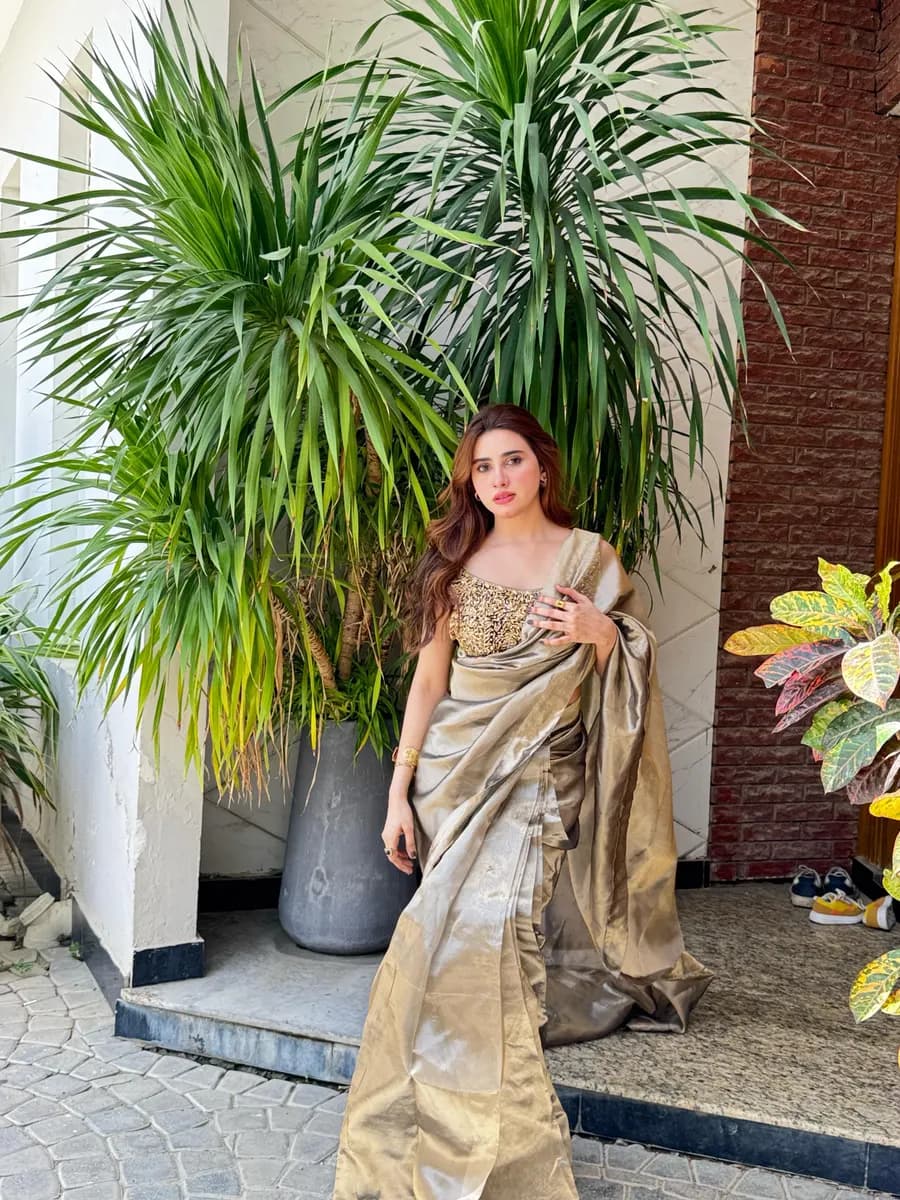 Aisha Afridi portfolio visual 8