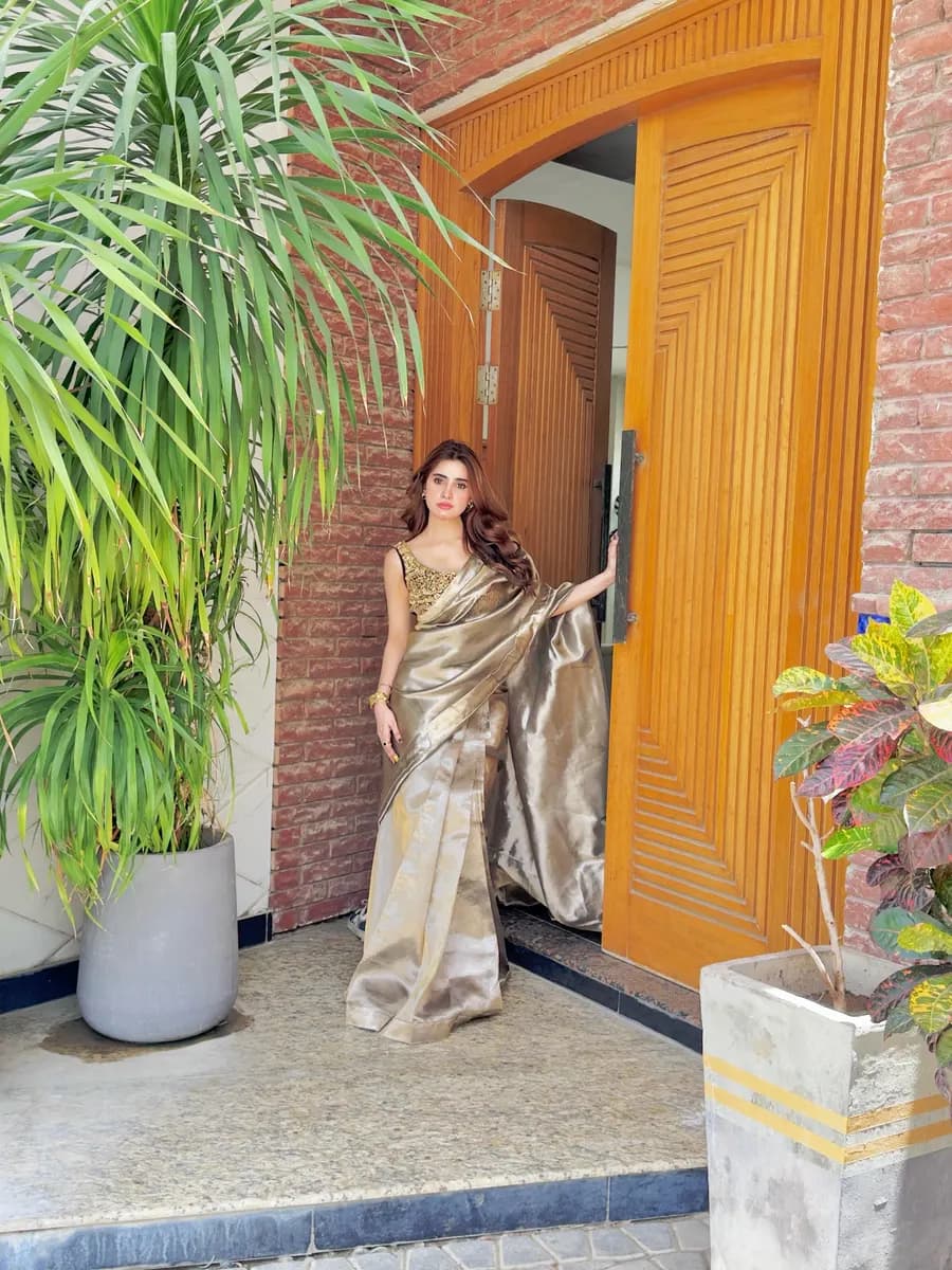 Aisha Afridi portfolio visual 9