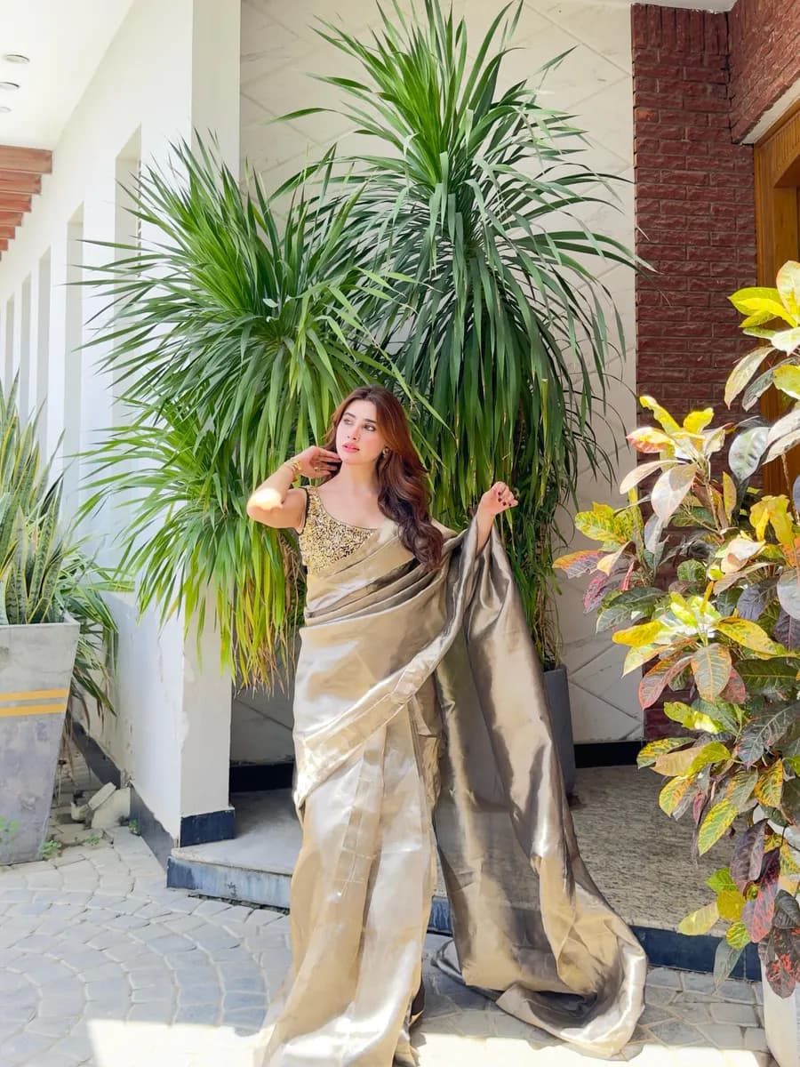 Aisha Afridi portfolio visual 12
