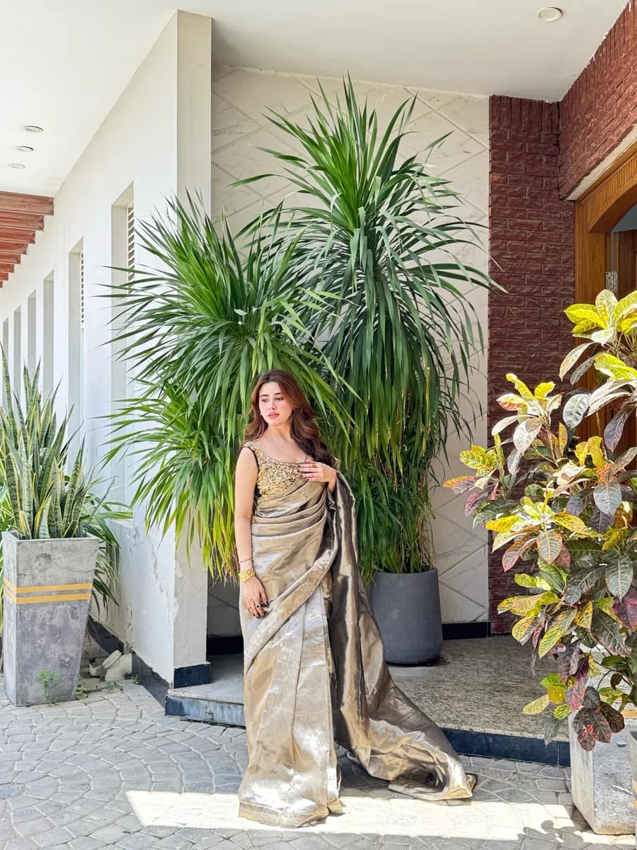 Aisha Afridi portfolio visual 13
